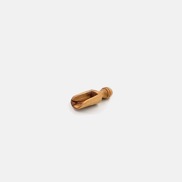 salt scoop