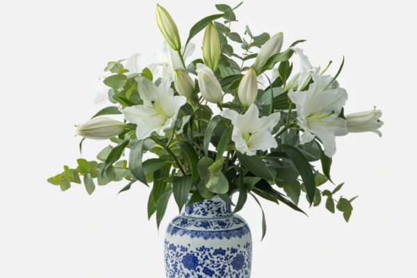 delphine vase flower blog